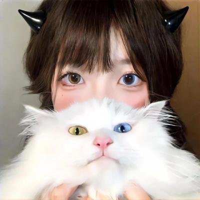 猫王巡回演唱会